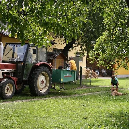 Bauernhof-Pension Puschnikhof Unternarrach ภายนอก รูปภาพ