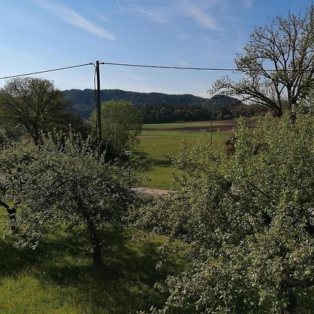 Bauernhof-Pension Puschnikhof Unternarrach ภายนอก รูปภาพ