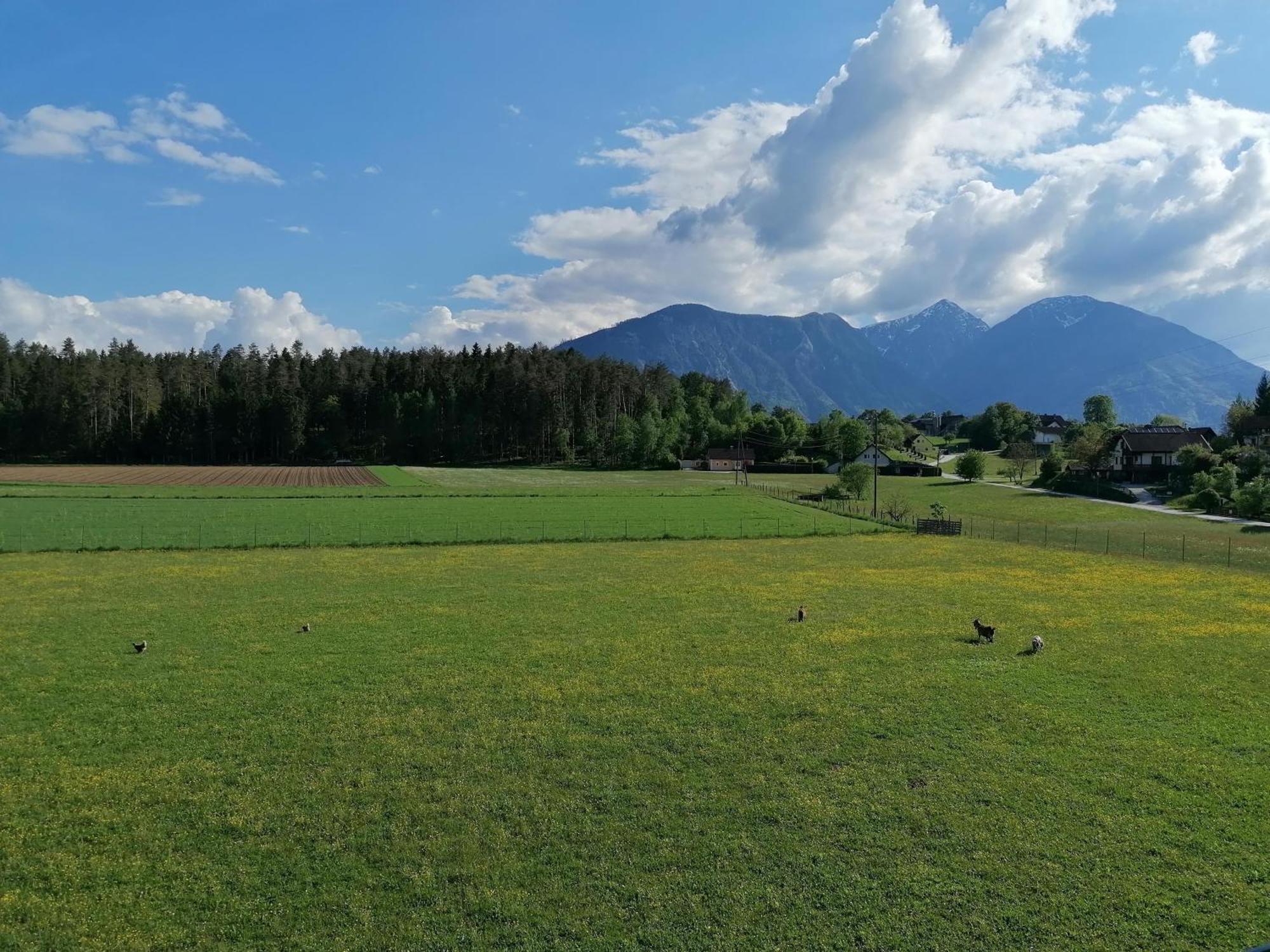 Bauernhof-Pension Puschnikhof Unternarrach ภายนอก รูปภาพ