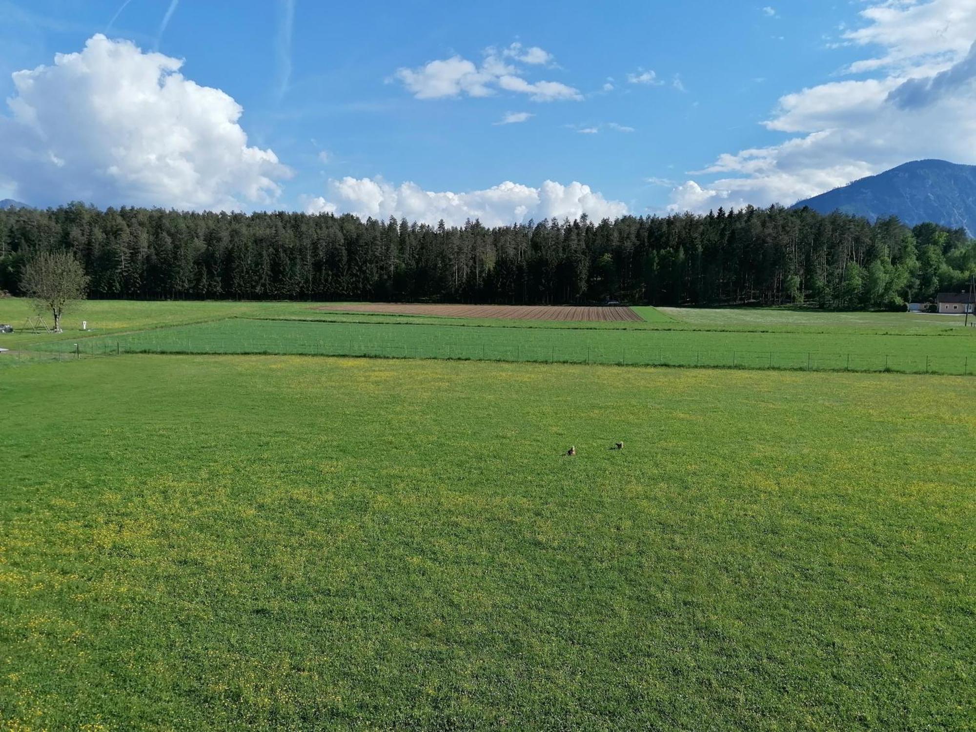 Bauernhof-Pension Puschnikhof Unternarrach ภายนอก รูปภาพ